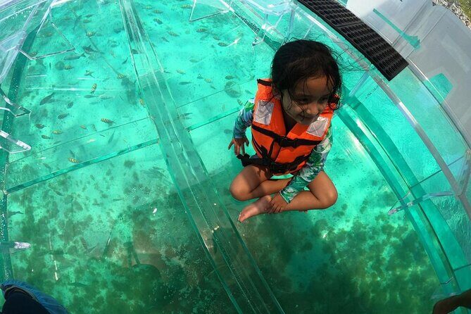 Isla Mujeres: Coral Reef Views from a Clear Boat - Who This Tour Is Best For on Isla Mujeres