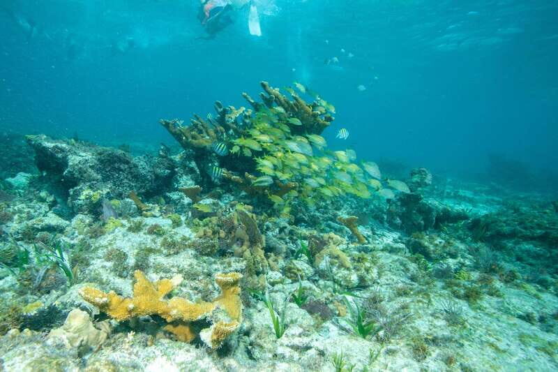 Isla Mujeres: Full Day Private Catamaran with Snorkeling - A private catamaran day in Isla Mujeres feels different