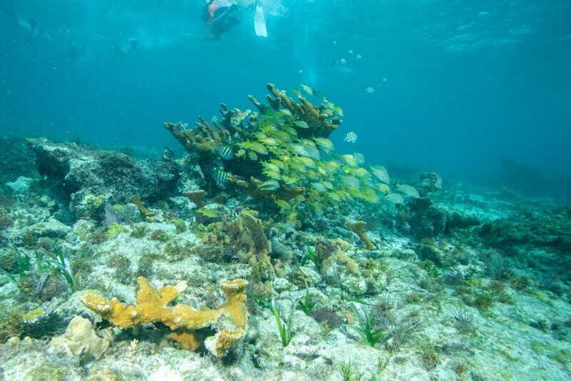 Isla Mujeres: Full Day Private Catamaran with Snorkeling - North Beach and the Natural Pool: the best use of your stamina
