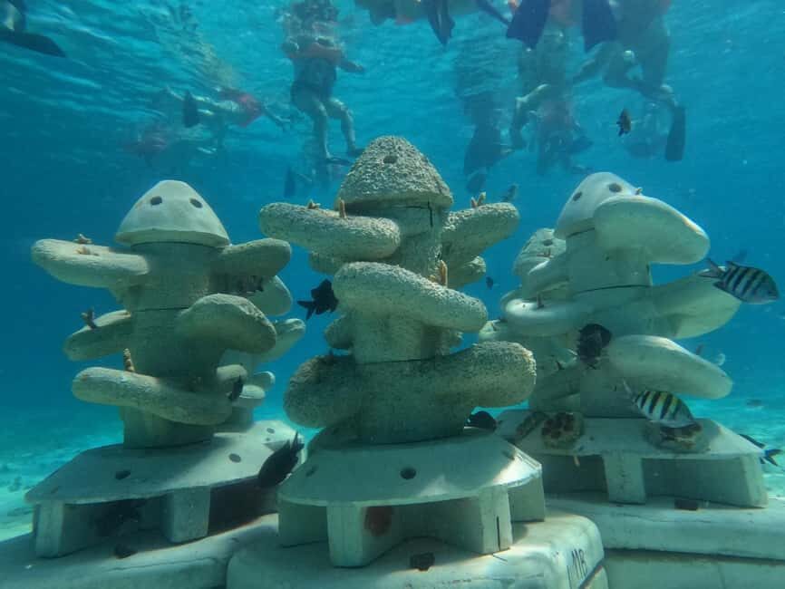Isla Mujeres: Full Day Private Catamaran with Snorkeling - Choosing your departure window (and why it matters)