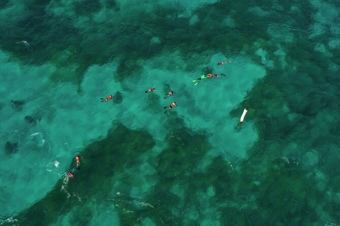 Isla Mujeres Island and Snorkeling Tour - Timing, Transport, and Why Your Pickup Matters