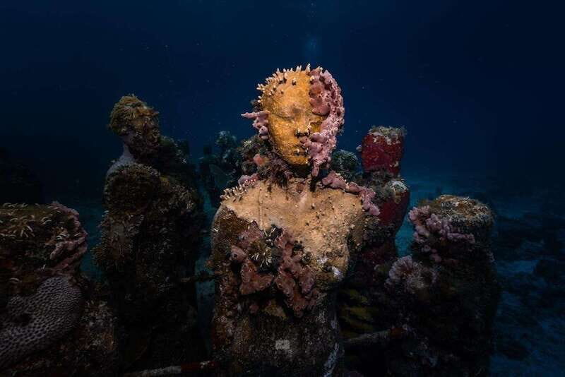 Isla Mujeres: MUSA and the Manchones Reef: 2 Tank Dive Tour - Key points to know before you go
