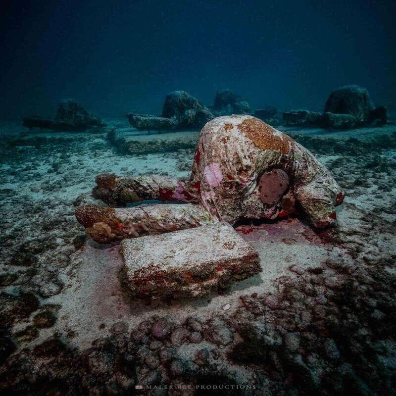 Isla Mujeres: MUSA and the Manchones Reef: 2 Tank Dive Tour - MUSA and Manchones Reef: the why behind the two-stop combo