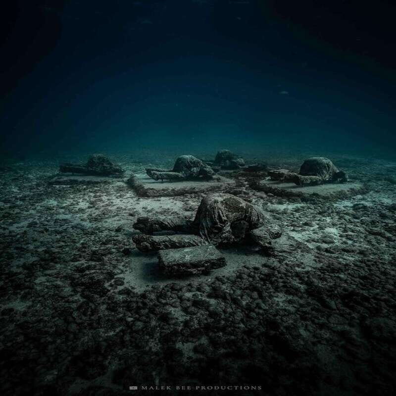 Isla Mujeres: MUSA and the Manchones Reef: 2 Tank Dive Tour - Manchones Reef at 9m/30ft: reef life with room to breathe