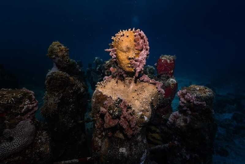 Isla Mujeres: MUSA and the Manchones Reef: 2 Tank Dive Tour - Price and value: is $125 per person fair?
