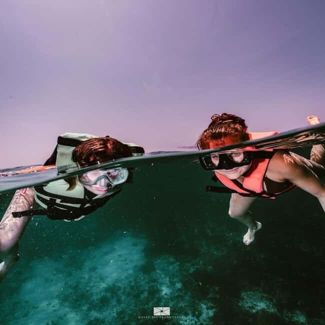Isla Mujeres - MUSA and the Manchones Reef - Snorkel - Meet at the PADI center and get sorted fast