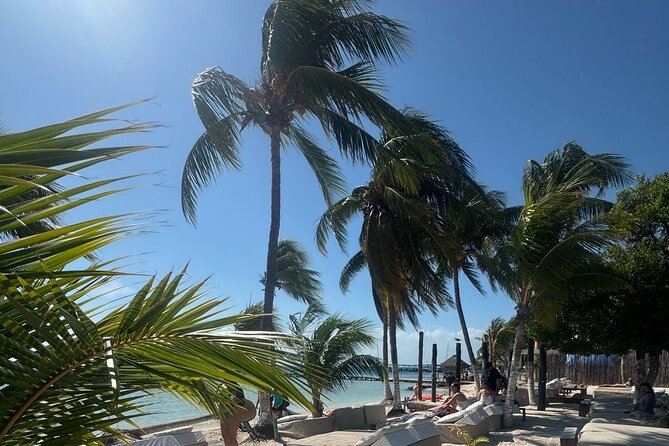 Isla Mujeres Plus Tour with Snorkeling Buffet and Open Bar - Key highlights at a glance