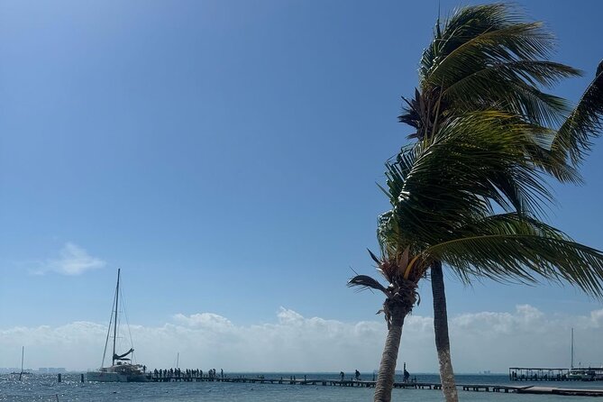 Isla Mujeres Plus Tour with Snorkeling Buffet and Open Bar - A Seven-Hour Isla Mujeres Plus Plan That Actually Flows