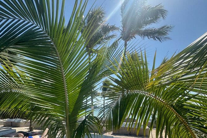 Isla Mujeres Plus Tour with Snorkeling Buffet and Open Bar - Arrecife El Meco Snorkeling: Fish, Coral, and Underwater Sculptures