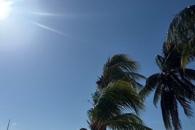 Isla Mujeres Plus Tour with Snorkeling Buffet and Open Bar - Should You Book This Tour? My practical take