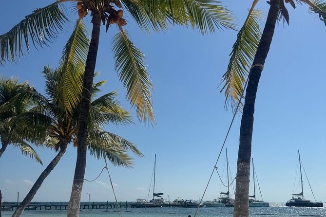 Isla Mujeres Plus Tour with Snorkeling Buffet and Open Bar - Playa Tortugas Stop: Short Dock Time and Getting Set for the Reef