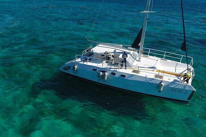 Isla Mujeres Premium Tour Transportation & Dock fee Included - Price and value: what $118.44 covers in the real world