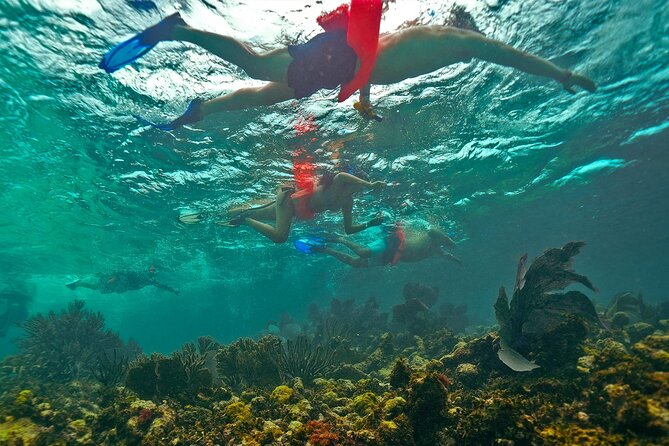 Isla Mujeres, Snorkel, Lunch & Pick Up from Cancun to P.Morelos - Getting on board at Punta Sam, with breakfast and pickup included