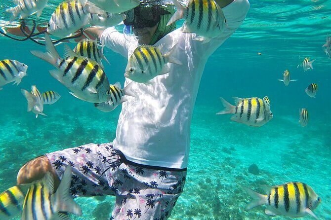 Isla Mujeres: Snorkeling Adventure at the Underwater Museum - MUSA underwater museum sculptures: art you can swim around
