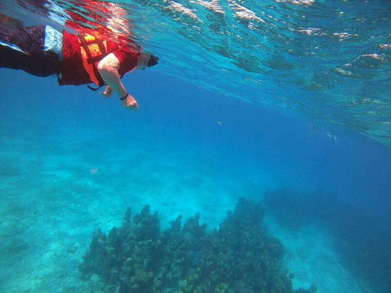 Isla Mujeres: Snorkeling Adventure at the Underwater Museum - Who should book this Isla Fun Tours snorkeling trip