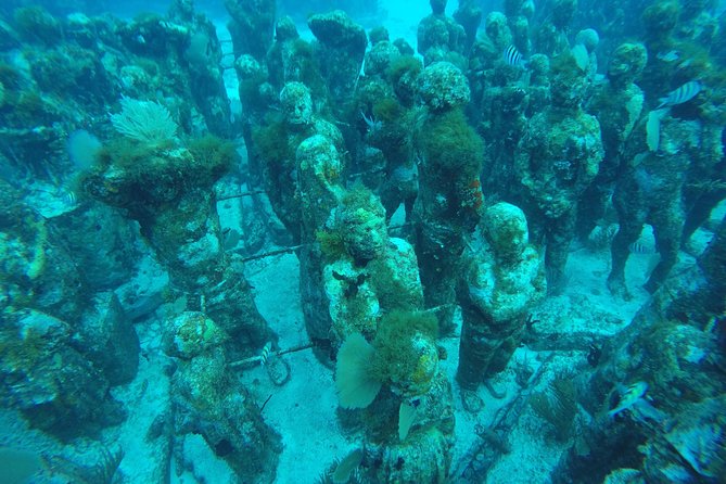 Isla Mujeres Snorkeling Tour Adventure - Stop 2: The Underwater Museum Stop That Feels Like Art Class, But Wet