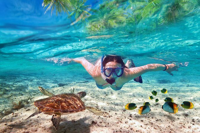 Isla Mujeres tour in a Catamaran with snorkel, open bar, lunch - Getting to the marina: where your day starts