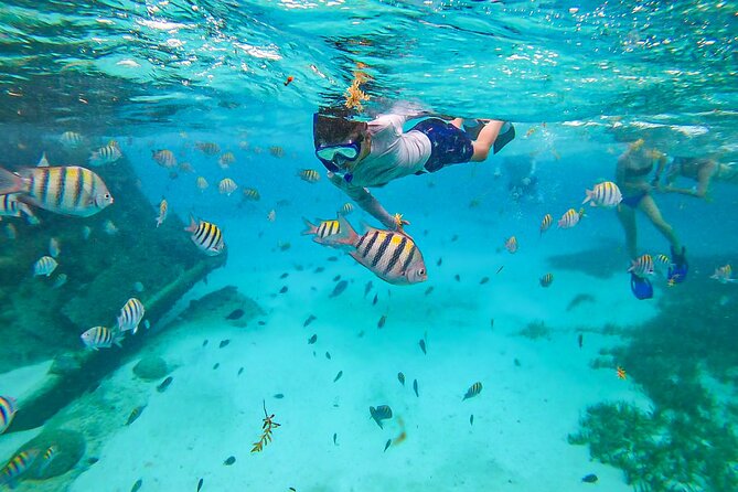 Isla Mujeres Tour, Snorkel and Golf Cart included - Speedboat to Isla Mujeres: the fast way to buy yourself island time