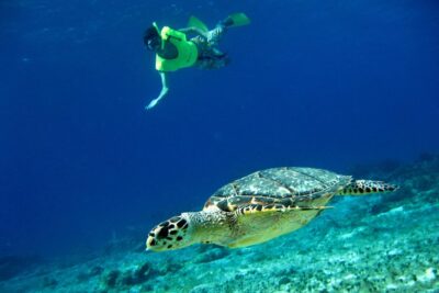 Island Flavors, Tequila & Beach Time - The real reason to book: Sky Reef snorkeling time