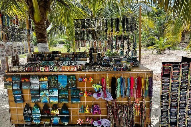 Island Tour in Cozumel, Mayan Show & Tacos - The guides make a difference more than you’d think