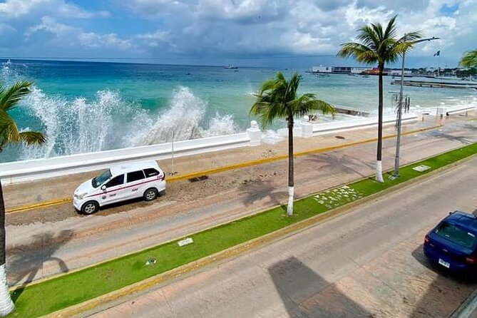 Island Tour With Private Driver - Chocolate Factory, Fruits Tequila Tasting, and Handmade Tortillas