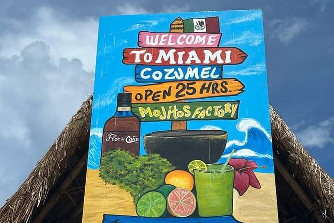 Island Tour With Private Driver - The Other Side of Cozumel: Virgin Beaches and a Preserve Feel