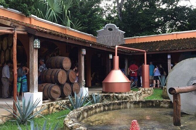 Jeep Tour of Cozumel with Lunch and Beach Club - Playa Chen Rio: a saltwater dip with lagoon wildlife possibilities