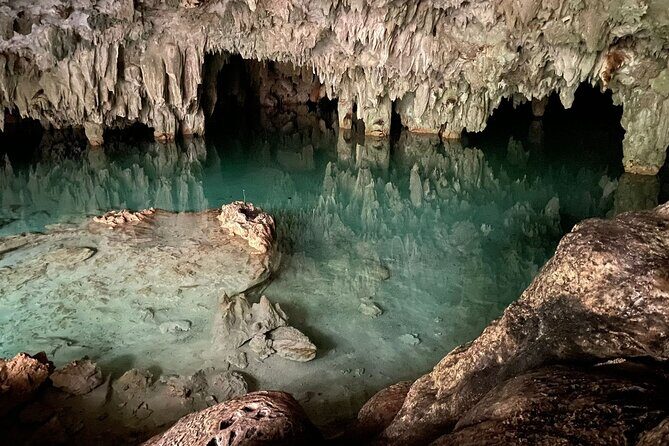 Jungle ATV Adventure: Unveiling Akumal's Enchanting Cenotes - Two more cenotes: a wildlife-focused stop and a calmer cave swim
