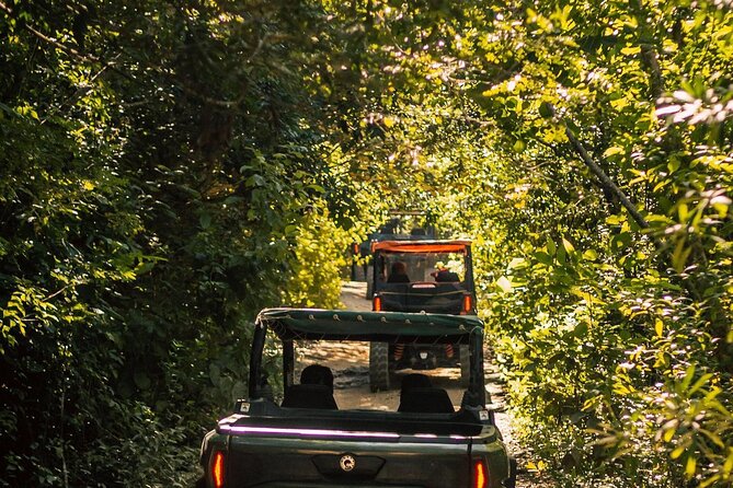 Jungle Buggy Day Tour - Who this Jungle Buggy Day Tour is best for