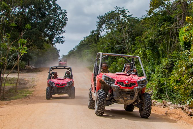 Jungle Buggy Tour from Playa del Carmen Including Cenote Swim - What you’re doing out in the Riviera Maya jungle