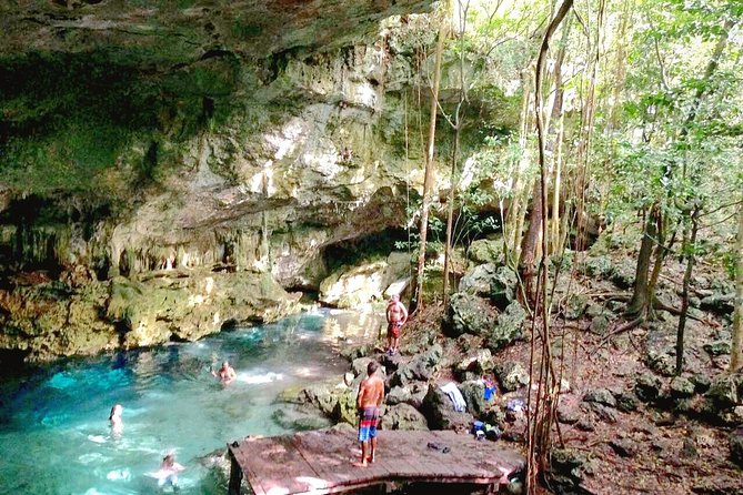 Jungle Buggy Tour from Playa del Carmen Including Cenote Swim - The cenote cave swim and snorkeling stop