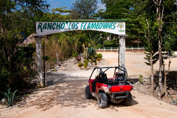 Jungle Buggy Tour from Playa del Carmen Including Cenote Swim - Photos, photos, and more photos (and what to do with tips)