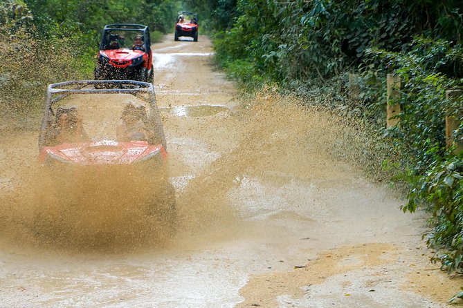 Jungle Buggy Tour from Playa del Carmen Including Cenote Swim - Who this tour fits best (and who should skip it)