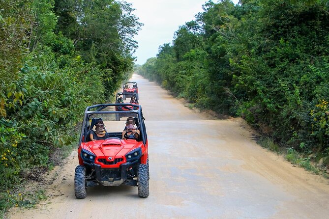 Jungle Buggy Tour from Playa del Carmen Including Cenote Swim - Meeting point and pickup: how to keep it smooth