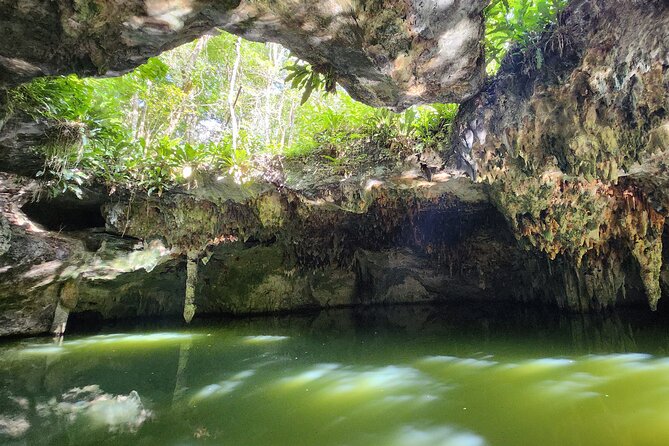 Jungle, Caverns and Tequila Mayan ATV Experience - Cozumel ATV, cenote, and tequila: what the day is actually like