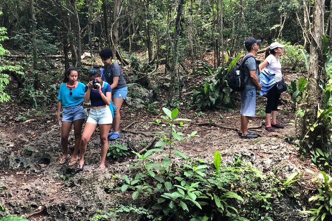 Jungle Jeep Adventure to Mayan Caves, Cenote and Snorkel - Mi Mexico Lindo Tequila Tour: Tasting, Distillation Talk, and Spending Choices