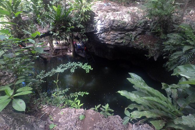 Jungle Jeep Adventure to Mayan Caves, Cenote and Snorkel - Snorkeling at Dzul Ha Reef: 45 Minutes of Caribbean Color