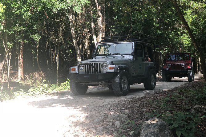 Jungle Jeep Adventure to Mayan Caves, Cenote and Snorkel - Lunch, Bugs, and the Real Budget: Value vs. Extra Charges