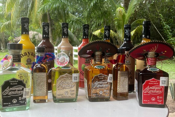 Jungle & Sacred Cenote Quad Adventure - Price and Value: Is $66.67 Worth It in Cozumel?