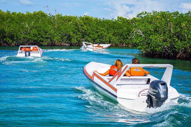 Jungle Tour - Fast Speedboats on Nichupte Lagoon: What You’re Really Buying