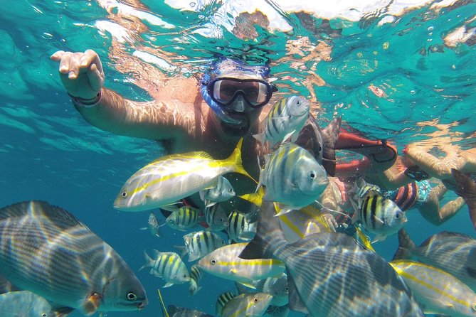 Jungle Tour - Stop 2 Snorkeling Slot: Included Gear, Short Time, Weather Rules
