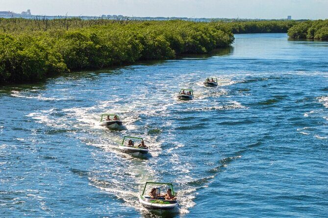 Jungle Tour adventure Cancun Speed Boat Through Mangrove - Nichupté Lagoon Mangroves: The Nature Part You Can Actually Enjoy
