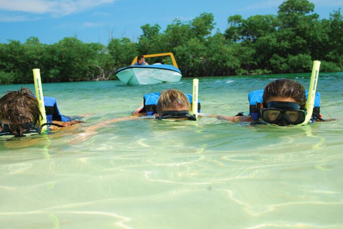 Jungle Tour Adventure in Cancun with Snorkeling - Making it better: how to get photos and wildlife without stressing