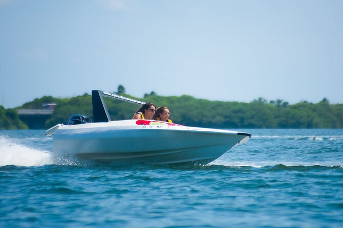 Jungle Tour Adventure in Cancun with Snorkeling - Price and fees in Cancun: don’t just add the headline