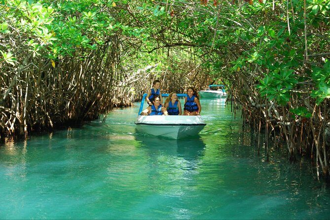 Jungle Tour In Cancun, drive a speedboat through the lagoon with your companion - Meeting Point Reality Check: Fred’s House vs. La Isla