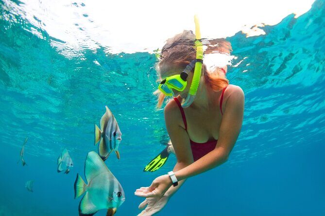 Jungle Tour Puerto Maya in Cancun - Stop 1: Laguna Nichupte and the Mangrove-Channel Views