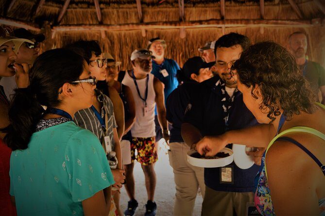 Kaan Luum & Cenotes Mayan Traditions - Weather and expectations: how to stay happy if the lagoon looks different