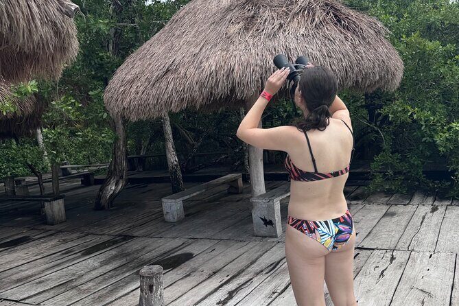 Kaan Luum Lagoon and Cenote Adventure - Price and Value: Why $142.91 Can Be Fair