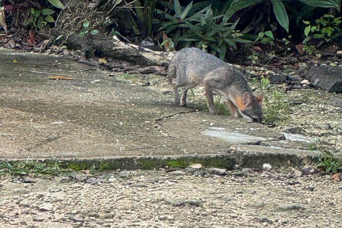 Kaan Luum Lagoon and Cenote Adventure - Stop 1: Laguna Kaan Luum Snorkel, Medicinal Water Lore, and Wildlife