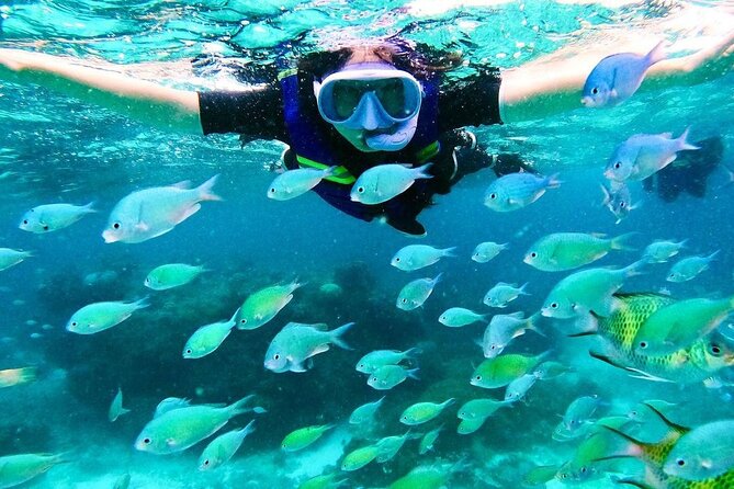 Kaan Luum Lagoon and Cenote Snorkel Tour in Tulum - Food, Snacks, and the Waiting Game Between Vans